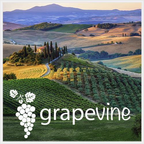 grapevine